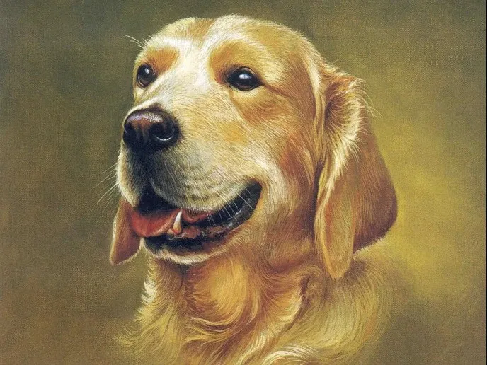 tư-vi-tu-day-den-cuoi-nam-2023 (4)