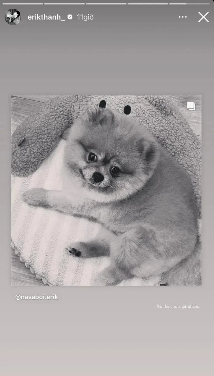 erik-dau-long-chia-tay-nguoi-ban-than-thiet-khien-dan-tinh-khong-khoi-xot-xa (4)