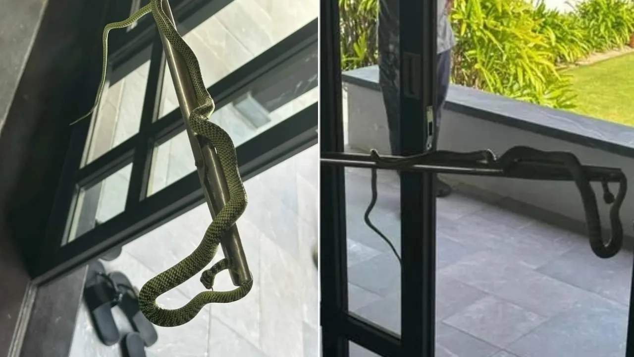 thue-resort-60-trieu-mot-o-quang-nam-nghi-le-nguoi-phu-nu-ta-hoa-phat-hien-be-na-xuat-hien (1)