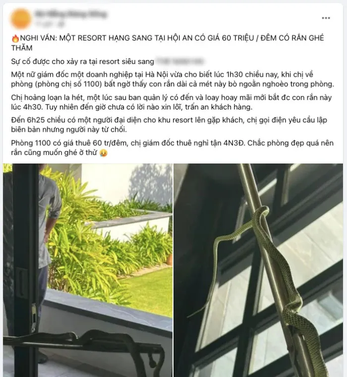 thue-resort-60-trieu-mot-o-quang-nam-nghi-le-nguoi-phu-nu-ta-hoa-phat-hien-be-na-xuat-hien (14)