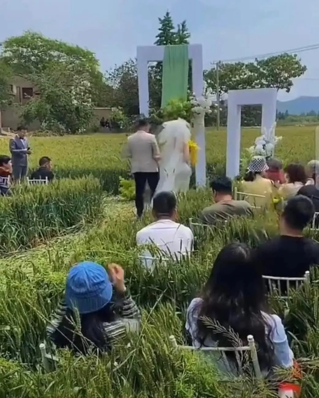 dam-cuoi-doc-la-giua-ruong (3)