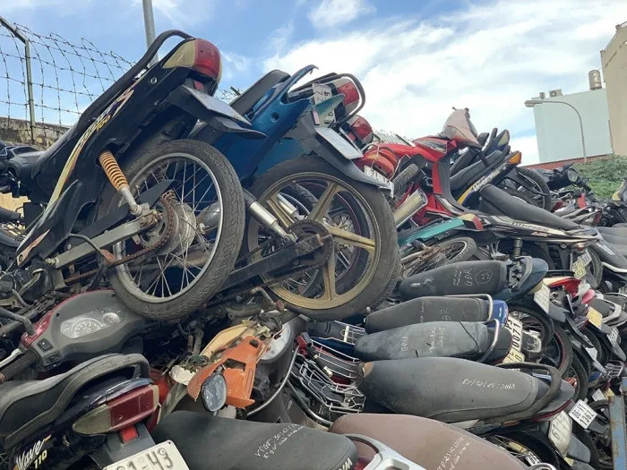 dau-gia-xe-may-vi-pham (2)