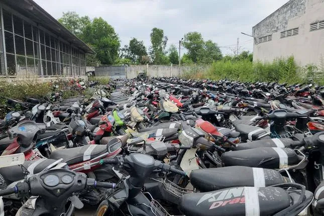 dau-gia-xe-may-vi-pham (2)