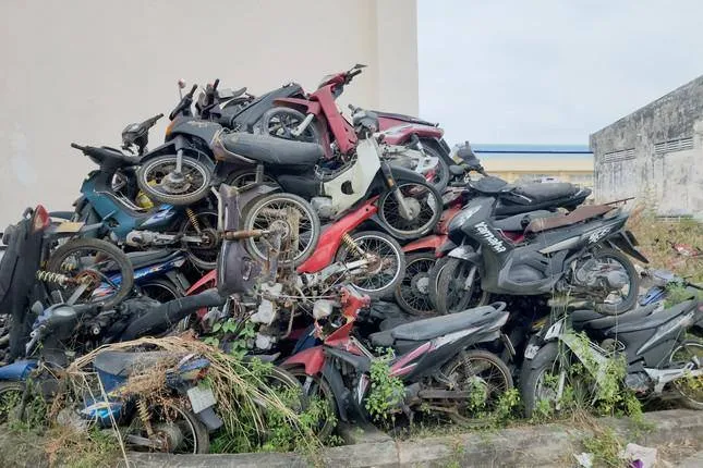 dau-gia-xe-may-vi-pham (3)