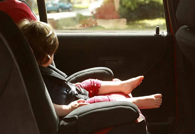 be-gai-thiet-mang-vi-bi-bo-me-bo-quen-trong-oto (1)