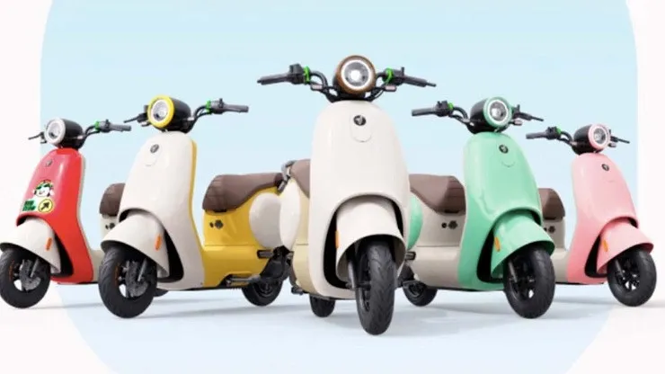 xe-dien-12-trieu (3)