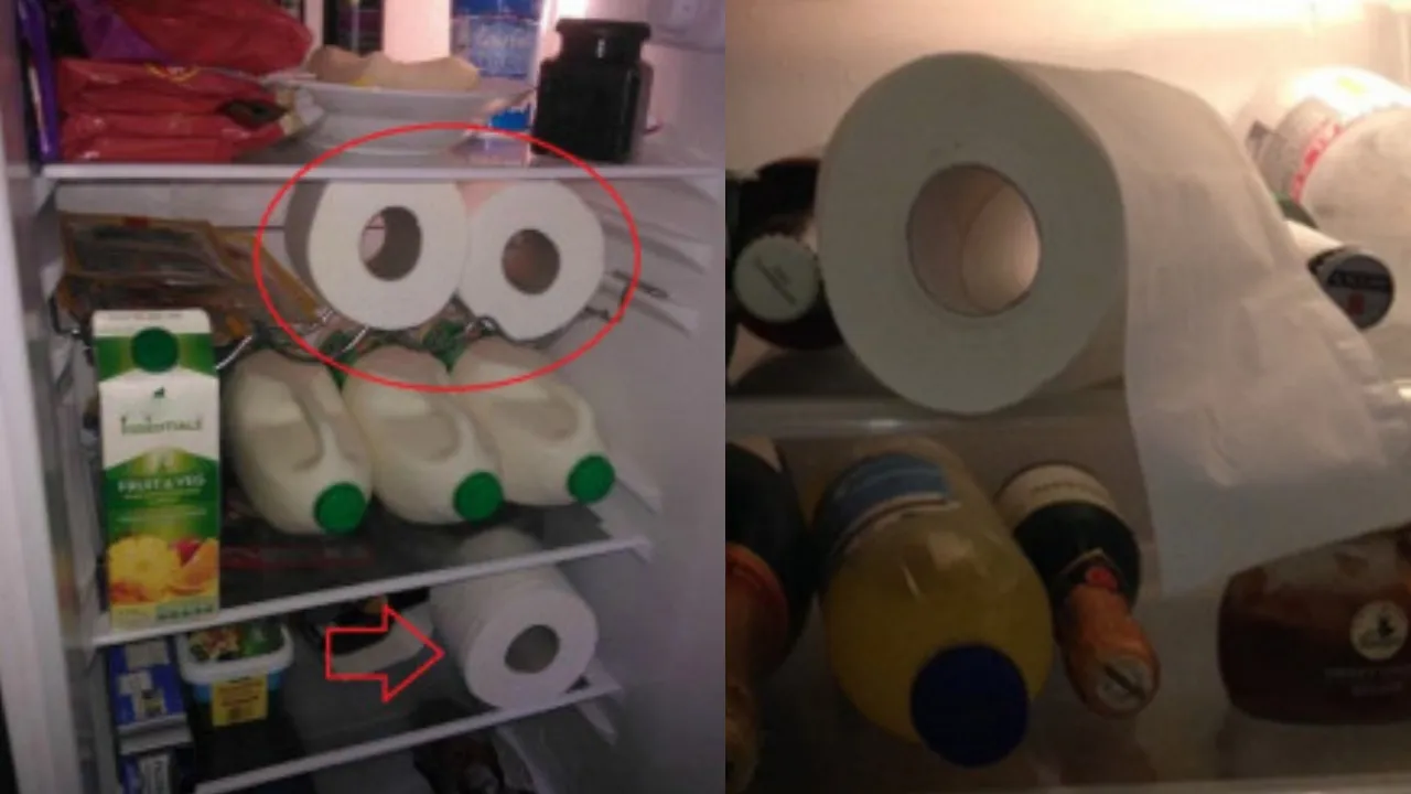 dat-giay-ve-sinh-vao-tu-lanh (2)