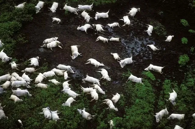 rung-minh-voi-chiec-ho-khien-gan-2000-nguoi-ra-di-mai-mai-sau-mot-dem (3)