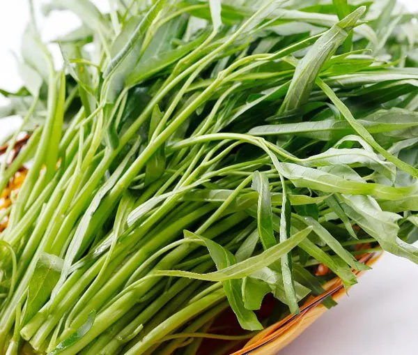 loai-rau-chi-7-ngan-o-viet-nma-bi-cam-cua-tai-my-phai-duoc-cap-pheop-moi-duoc-trong-hoac-ban (1)