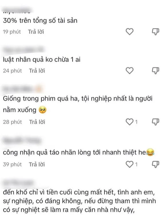 vu-kien-tung-tai-san-nha-nsut-vu-linh-neu-bi-thua-se-chiu-an-phi-bao-nhieu-tien (2)