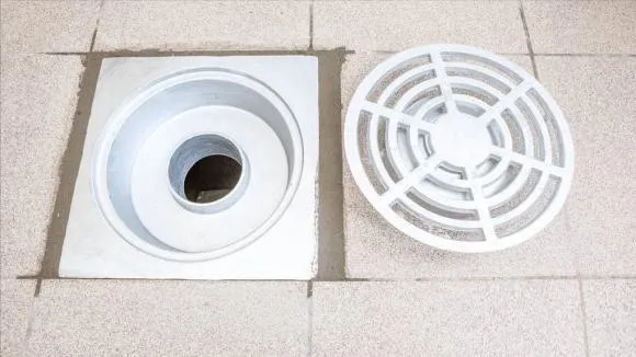 tac-dung-ky-dieu-cua-muoi-an-rac-muoi-cho-nay-trong-nha-nghe-vo-ly-nhung-thu-duoc-loi-ich-khong-ngo (21)