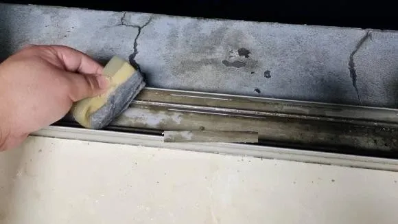 tac-dung-ky-dieu-cua-muoi-an-rac-muoi-cho-nay-trong-nha-nghe-vo-ly-nhung-thu-duoc-loi-ich-khong-ngo (212)