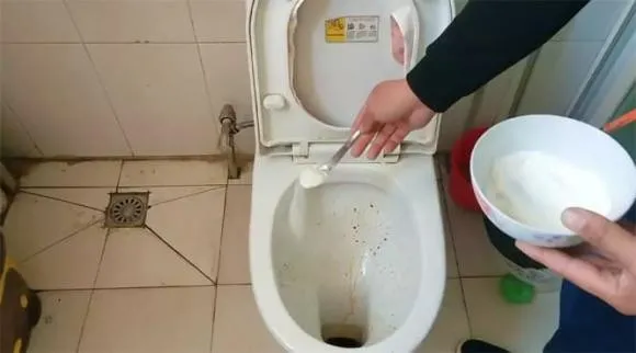 tac-dung-ky-dieu-cua-muoi-an-rac-muoi-cho-nay-trong-nha-nghe-vo-ly-nhung-thu-duoc-loi-ich-khong-ngo (6)