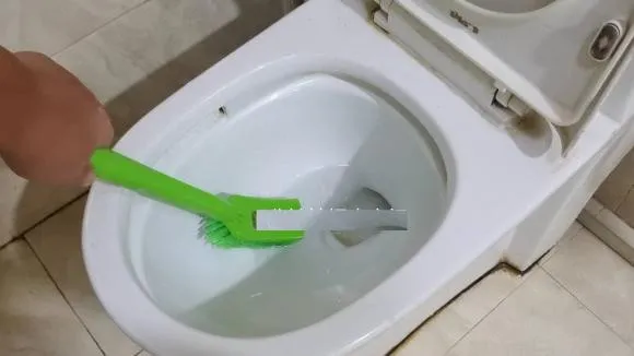 tac-dung-ky-dieu-cua-muoi-an-rac-muoi-cho-nay-trong-nha-nghe-vo-ly-nhung-thu-duoc-loi-ich-khong-ngo (8)