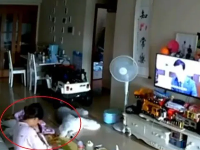 thue-bao-mau-cham-con-nhung-xem-camera-chi-thay-bam-dien-thoai-duoi-viec-xong-chu-nha-hoi-han (2)