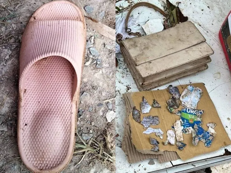 vu-hai-nhu-mat-tich-bi-an-tron-1-nam-chua-co-loi-giai-dap-bo-me-va-chi-gai-van-khong-ngung-tim-kiem (2)