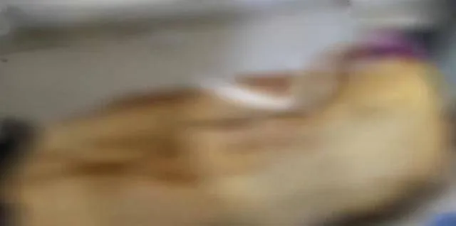 phong-tro-boc-mui-khong-ro-tu-dau-tuong-do-bi-am-moc-co-gai-cung-chu-nha-hot-hoang-khi-phat-hien-su-that-phia-sau (2)