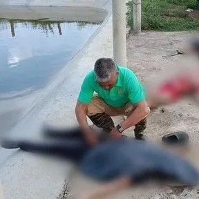 theo-gia-dinh-chan-bo-muu-sinh-3-em-nho-gap-chuyen-ra-di-mai-mai-dang-thuong-nhat-em-nho-nhat-moi-chi-lop-1 (1)