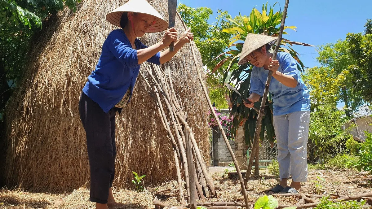thu-khoa-tot-nghiep-thpt-quang-binh-tu-cho-vao-dai-hoc-di-xuat-khau-lao-dong-cho-nha-do-vat-va (2)