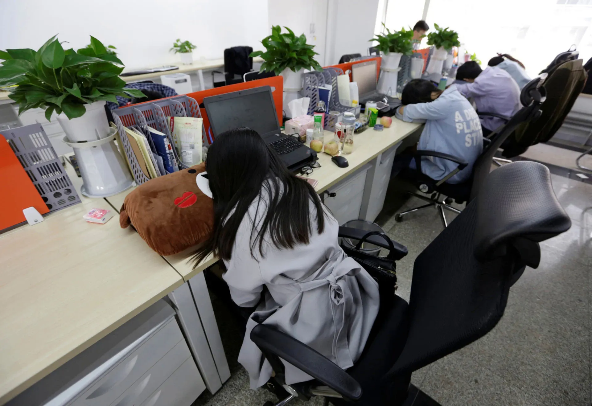 5-viec-lam-binh-thuong-cua-nguoi-viet-nam-hoa-phi-thuong-trong-mat-du-khach-uc-quoc-gia-khac-cung-tram-tro (14)