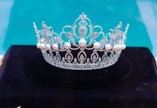 5-truong-hop-bi-tuoc-vuong-mien-o-viet-nam-nguoi-bi-thu-hoi-danh-hieu-phi-phat-bao-nhieu-tien (13)