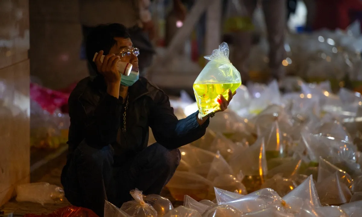 la-doi-cho-am-phu-tphcm-mo-3-tieng-bien-mat-khong-dau-vet-ban-thu-khien-khach-phai-quy-mop-roi-den-sam-soi (13)