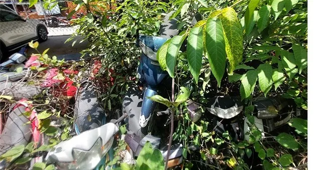 hang-nghin-xe-may-tu-honda-sh-vison-air-blade-chat-thanh-dong-thanh-ly-chi-tu-500000-dong-xe (4)