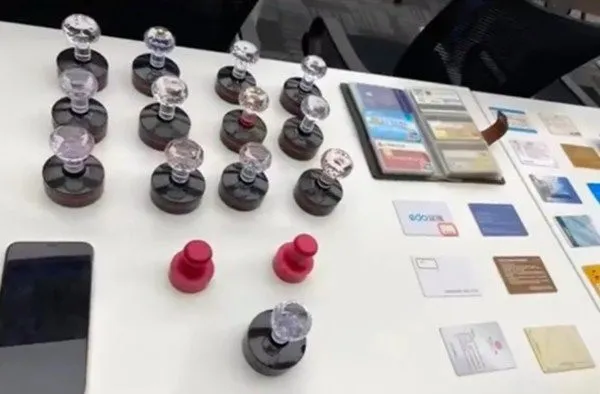 nguoi-phu-nu-nhan-16-cong-viec-o-cac-cong-ty-khac-nhau-luonh-nhieu-tau-biet-thu-nhung-chua-bao-gio-di-lam (5)