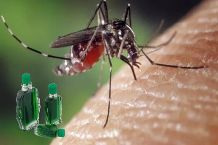 tron-dau-gio-voi-giam-trang-than-duoc-huu-ich-quy-hon-vang-den-nay-nhieu-nguoi-van-khong-biet (8)