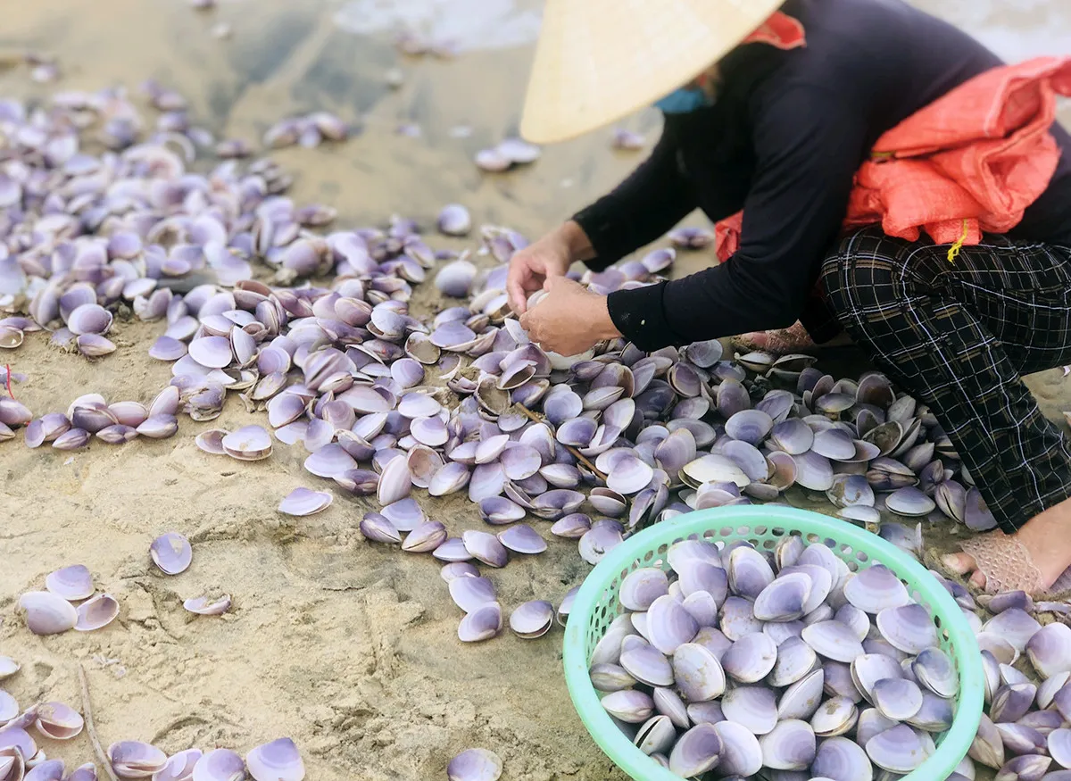 loc-troi-hiem-gap-troi-dat-vao-bien-ha-tinh-nguoi-dan-do-xo-di-nhat-kiem-tien-trieu (51)