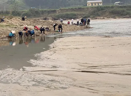 xon-xao-day-song-can-nuoc-lo-hat-vang-hang-tram-nguoi-keo-den-dai-cat-tim-nhung-hat-vang-nho-hy-vong-doi-doi (4)