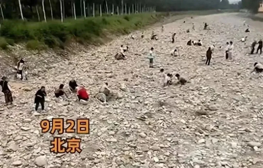 xon-xao-day-song-can-nuoc-lo-hat-vang-hang-tram-nguoi-keo-den-dai-cat-tim-nhung-hat-vang-nho-hy-vong-doi-doi (6)