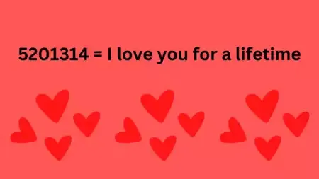 day-so-5201314-co-y-nghia-gi-ma-nhieu-nguoi-hay-nhac-dac-biet-la-nguoi-co-nguoi-yeu (3)