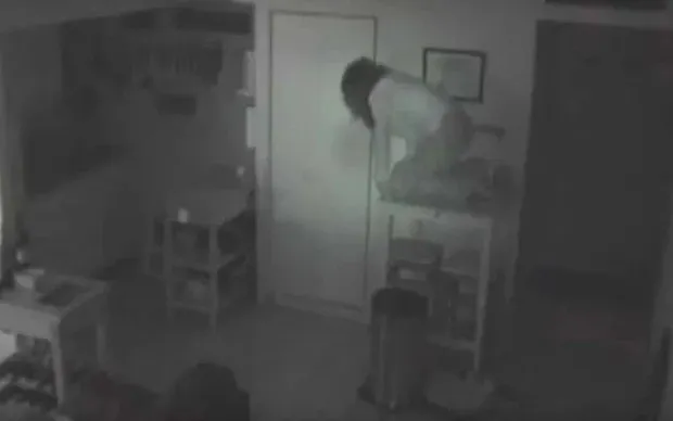 do-vat-bat-thuong-di-chuyen-trong-nha-du-khong-co-ai-chu-nha-len-lap-camera-thi-phat-hien-su-that-kinh-hoang (2)