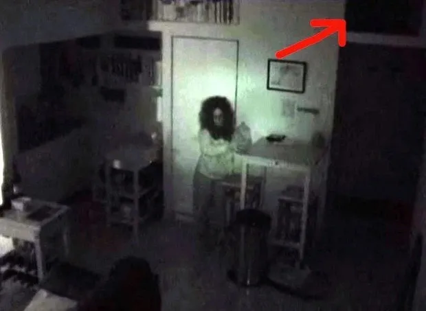 do-vat-bat-thuong-di-chuyen-trong-nha-du-khong-co-ai-chu-nha-len-lap-camera-thi-phat-hien-su-that-kinh-hoang (3)