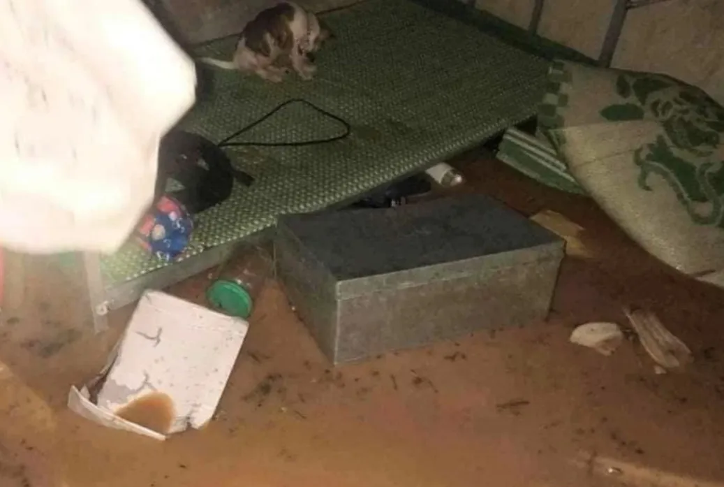 40-em-hoc-sinh-nghe-an-treo-len-mai-nha-chen-chuc-keu-keu-do-mua-lu-dang-cao-ngap-phong-tro (6)