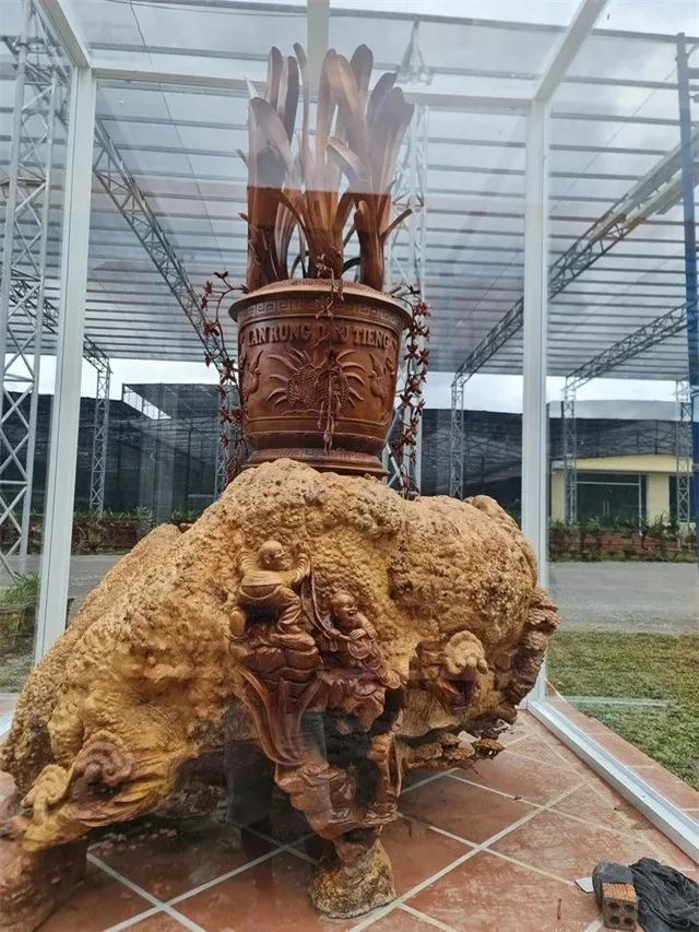 dai-gia-binh-duong-gay-choang-voi-biet-phu-rong-15000m2-bang-go-hiem-chi-2-ty-dong-thang-cho-giup-viec-lau-chui-quet-don (5)