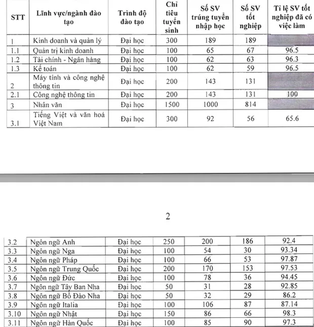 mot-nganh-ngon-ngu-sinh-vien-hoc-xong-khong-lo-that-nghiep-ty-le-viec-lam-len-den-100-luong-moi-ra-truong-15-trieu-thang (41)