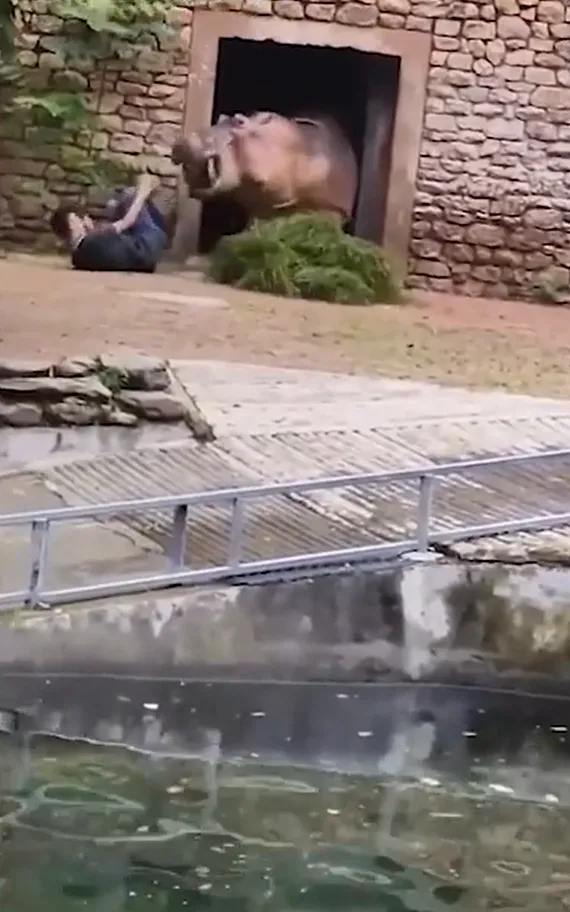 vao-chuong-ngan-2-con-ha-ma-can-nhau-nhan-vien-so-thu-gap-chuyen-khong-ngo-khach-tham-quan-khong-dam-nhin (3)