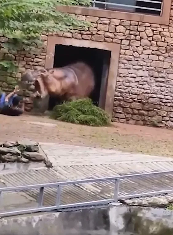 vao-chuong-ngan-2-con-ha-ma-can-nhau-nhan-vien-so-thu-gap-chuyen-khong-ngo-khach-tham-quan-khong-dam-nhin (4)