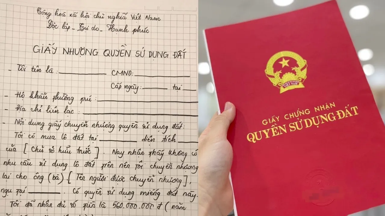 mua-ban-dat-bang-giay-viet-tay-co-duoc-cap-so-do-khong-thong-tin-quan-trong-nhung-it-nguoi-nam-ro (1)