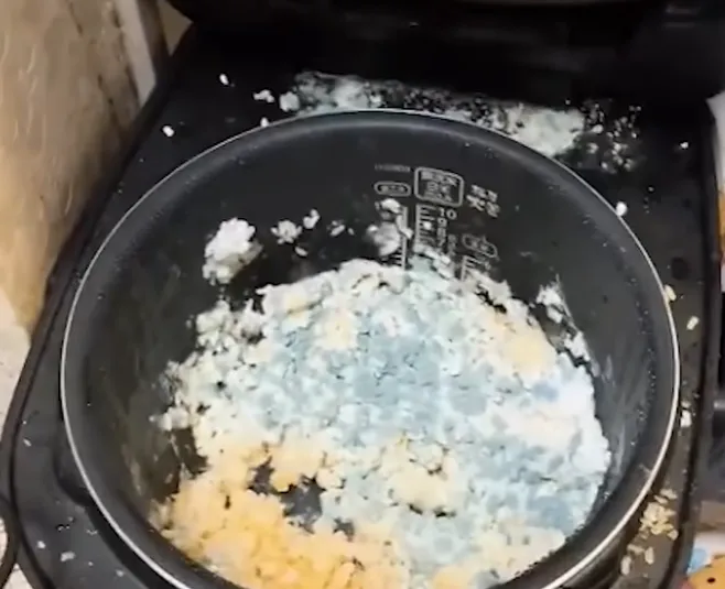 ban-gai-thanh-an-ban-nhat-ban-cach-sinh-hot-cung-1-chin-1-muoi-ban-trai-gay-am-anh-voi-can-phong-ngap-rac (10)