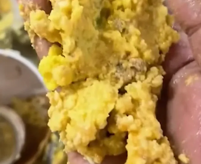 ban-gai-thanh-an-ban-nhat-ban-cach-sinh-hot-cung-1-chin-1-muoi-ban-trai-gay-am-anh-voi-can-phong-ngap-rac (8)