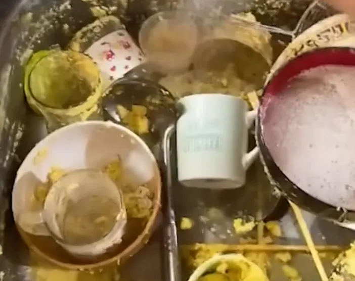 ban-gai-thanh-an-ban-nhat-ban-cach-sinh-hot-cung-1-chin-1-muoi-ban-trai-gay-am-anh-voi-can-phong-ngap-rac (9)