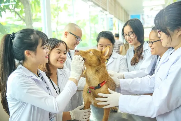 choang-truoc-mua-luong-40-50-trieu-dong-thang-cua-sinh-vien-nganh-thu-y-moia-ra-truong-dan-tinh-chi-biet-uoc (3)