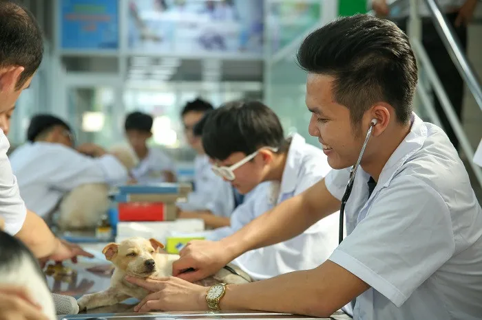 choang-truoc-mua-luong-40-50-trieu-dong-thang-cua-sinh-vien-nganh-thu-y-moia-ra-truong-dan-tinh-chi-biet-uoc (411)