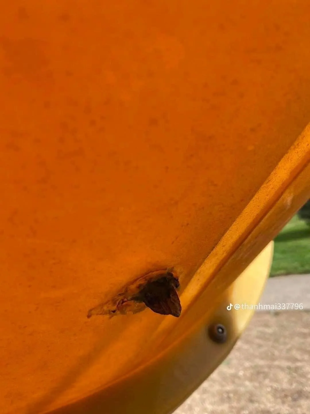 dua-con-nho-di-choi-cau-tuot-o-cong-vien-nguoi-me-phat-hien-nguy-hiem-lien-dang-dan-canh-bao-phu-huynh (4)