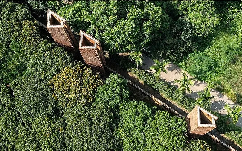 biet-phu-5000m2-cua-vua-hai-dat-bac-len-bao-nuoc-ngoai-cong-trinh-tu-5-trieu-vien-ngoi-co-va-1-trieu-vien-gach-that-co (1)