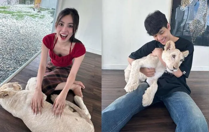 hoa-hau-tieu-vy-vuong-nghi-van-mang-thai-vi-chiec-vay-rong-thung-thinh-nguoi-dep-len-tieng (311)