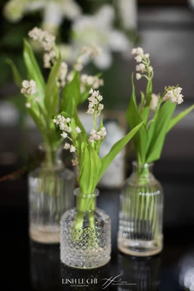 bo-hoa-cam-tay-doan-hai-my-thuoc-top-dat-nhat-the-gioi-kho-kiem-kho-thu-hoach-hiem-co-dau-vbiz-dam-dung (411)